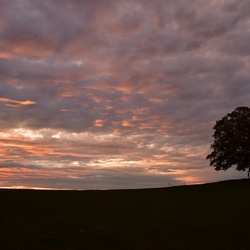 2018-10 Prague/Votice/DSC_5895.JPG